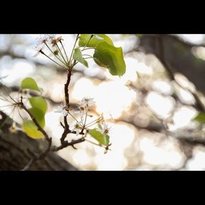 Meet your Posher, Joel